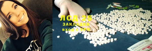 ГАЛЛЮЦИНОГЕННЫЕ ГРИБЫ Абаза
