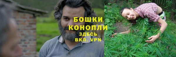 ГАЛЛЮЦИНОГЕННЫЕ ГРИБЫ Абаза